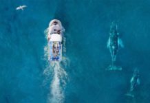 Al via dal 2 al 6 marzo gli European Ocean Days Al via dal 2 al 6 marzo gli European Ocean Days