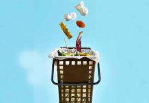 Asti, bioplastiche e raccolta dell’umido: Gaia e Biorepack premiano i progetti degli studenti Asti bioplastiche Gaia Biorepack