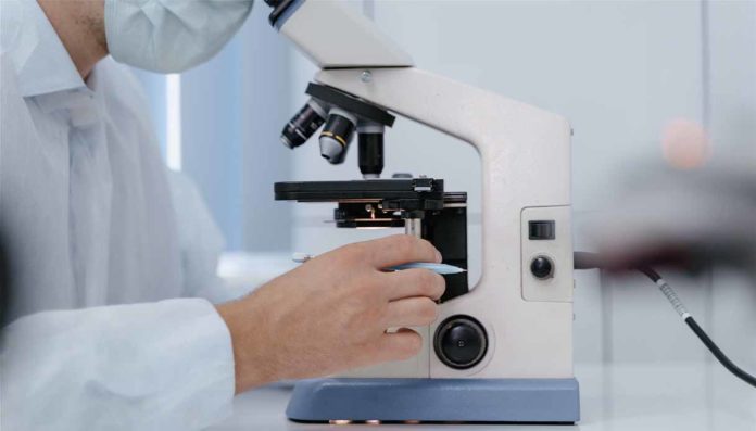 BioInvestIT 2026 cluster SPRING BioInvestIT 2026 cluster SPRING