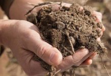 ‘Educare al suolo in Italia: cosa serve davvero’, workshop on line con Luca Mercalli 'Educare al suolo in Italia: cosa serve davvero', workshop on line con Luca Mercalli