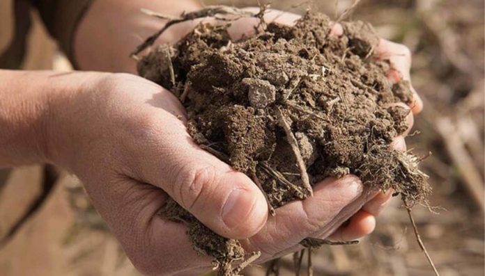 'Educare al suolo in Italia: cosa serve davvero', workshop on line con Luca Mercalli