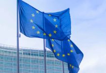 Imballaggi Ue: nuove linee guida della Commissione per l’attuazione del PPWR entro il 2030