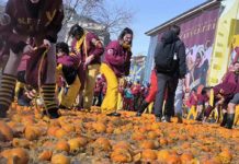 Ivrea: il Carnevale esempio di collaborazione, sostenibilità e sinergia Ivrea: il Carnevale esempio di collaborazione, sostenibilità e sinergia