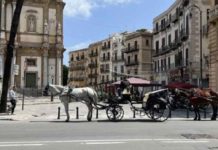 Mobilità sostenibile, anche Palermo è una città fortemente polarizzata Mobilità sostenibile, anche Palermo è una città fortemente polarizzata