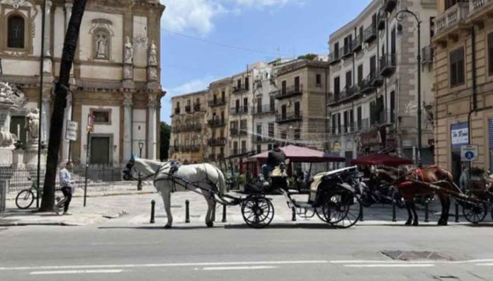 Mobilità sostenibile, anche Palermo è una città fortemente polarizzata