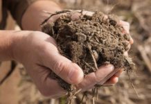 ‘Educare al suolo in Italia: cosa serve davvero’, workshop on line con Luca Mercalli