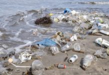 Rifiuti dai fiumi al mare: il 62% di quelli ritrovati nel Po è plastica