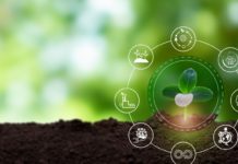 Bioeconomia europea: da Consiglio Ue ok alla produzione di bioinnovazioni