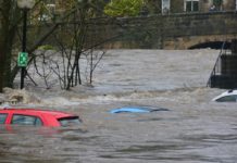 Impatti climatici, Nef: senza investimenti verdi è una bomba a orologeria impatti climatici