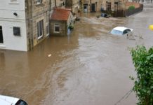 Crisi climatica, Wwf: dal report Wmo nuovo allarme rosso Crisi climatica