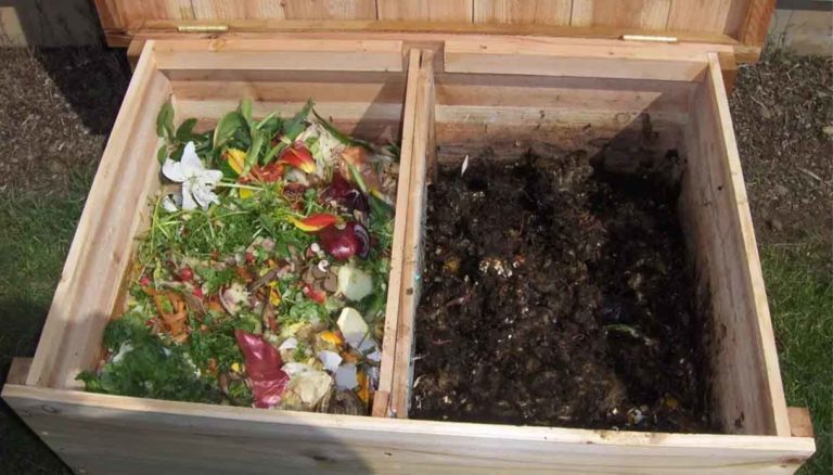 compostaggio domestico