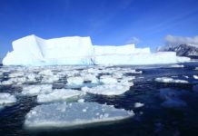 Crisi climatica, Wmo: ultimi 11 anni i più caldi della storia Stato del clima