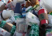 Raccolta differenziata in Basilicata, dopo 12 anni raggiunto il 65% raccolta differenziata in Basilicata