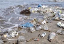 Rifiuti dai fiumi al mare: il 62% di quelli ritrovati nel Po è plastica rifiuti fiumi mare