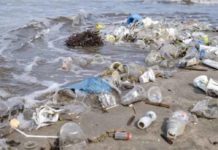 ‘PaleoPlastica – I fossili del futuro’, la mostra a Scandicci ‘PaleoPlastica – I fossili del futuro’, la mostra a Scandicci