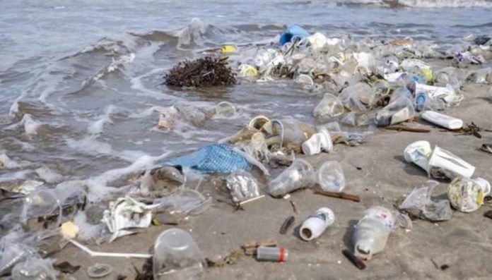 ‘PaleoPlastica – I fossili del futuro’, la mostra a Scandicci ‘PaleoPlastica – I fossili del futuro’, la mostra a Scandicci