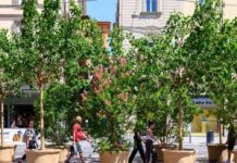 Bologna, centro storico: piano quinquennale per verde, decoro e servizi urbani Bologna centro storico verde decoro servizi urbani