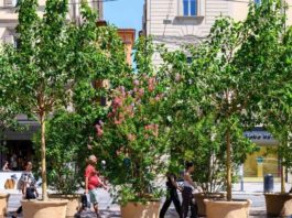 Bologna centro storico verde decoro servizi urbani