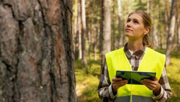 Economia ambientale Ue- +2,2 milioni di lavoratori tra 2014 e 2023 Economia ambientale Ue: +2,2 milioni di lavoratori tra 2014 e 2023