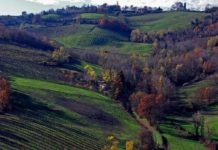 Emilia-Romagna, inverno 2025-2026 tra i più caldi dal 1961 Emilia-Romagna inverno 2025-2026 più caldi 1961