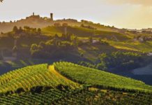 Forum Energia Legambiente Piemonte: metà regione ancora a gas, accelerare rinnovabili Forum Energia Legambiente Piemonte