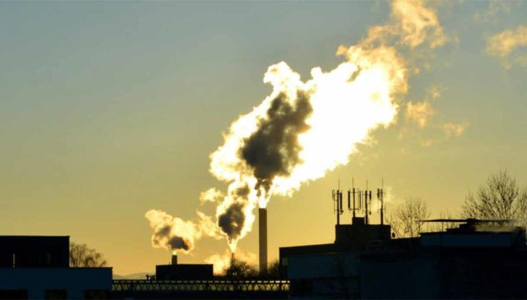 Includere l’incenerimento nel sistema Eu Ets non porterà più rifiuti in discarica Giornata della Terra 2026 WWF ECCO ETS sicurezza energetica La Commissione Ue cede alle industrie inquinanti e indebolisce l’Ets
