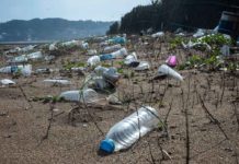 Inquinamento contenitori per bevande in Italia, ‘A Buon rendere’ chiede soluzione strutturale Inquinamento contenitori per bevande in Italia, ‘A Buon rendere’ chiede soluzione strutturale