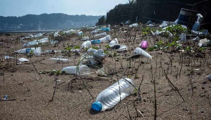 Inquinamento contenitori per bevande in Italia, ‘A Buon rendere’ chiede soluzione strutturale