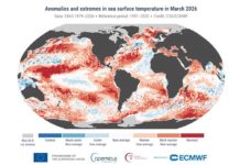 Marzo 2026 tra i più caldi mai registrati | I dati globali del servizio Copernicus Marzo 2026 caldi