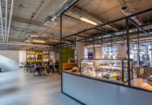 Mense pubbliche, proposta di legge per più pasti vegetali Mense pubbliche cibi sostenibili Mense pubbliche proposta legge pasti vegetali