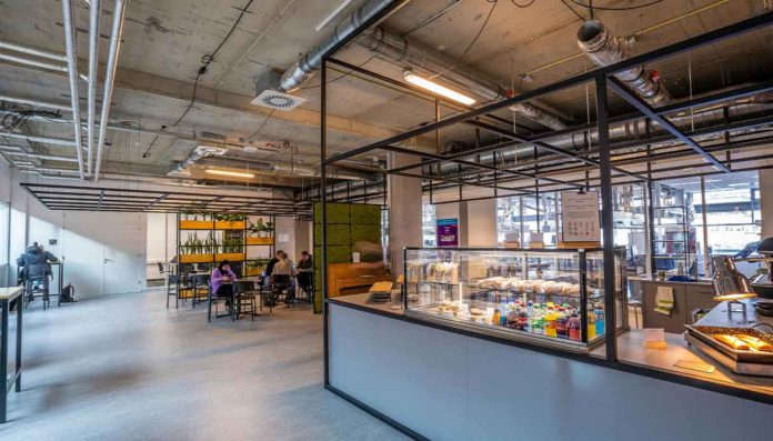 Mense pubbliche cibi sostenibili Mense pubbliche proposta legge pasti vegetali