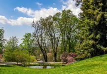 Piemonte, difesa del suolo: +4,2 milioni per interventi nelle aree protette Piemonte difesa del suolo interventi aree protette