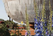 Roma, Ama al Festival del Verde: focus su rifiuti organici ed economia circolare Roma Ama Festival del Verde