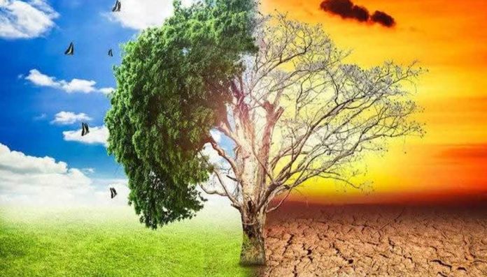 Roma Forum Transizione Ecologica Municipio I