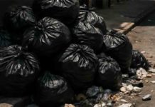 Verona, stop ai sacchi non trasparenti per il conferimento dei rifiuti Verona, stop ai sacchi non trasparenti per il conferimento dei rifiuti