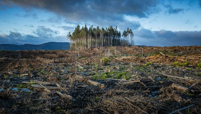 Giornata della Terra