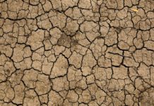 Gli eventi caldi-secchi colpiscono di più i Paesi a basso reddito eventi caldi-secchi