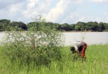 Al via consultazione pubblica sul Piano nazionale di Ripristino della Natura Piano nazionale di Ripristino della Natura