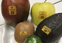 Meno plastica e sprechi: al via etichette commestibili per frutta e verdura etichette commestibili
