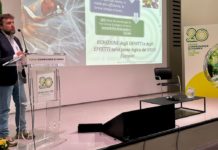 Appalti verdi, un bando su cinque non ha i criteri ambientali minimi criteri ambientali minimi appalti