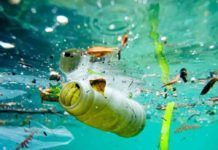 I rifuti legati a cibo e bevande dominano l’inquinamento globale da plastica I rifuti legati a cibo e bevande dominano l’inquinamento globale da plastica