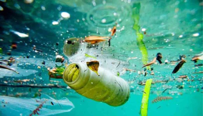 I rifuti legati a cibo e bevande dominano l’inquinamento globale da plastica I rifuti legati a cibo e bevande dominano l’inquinamento globale da plastica