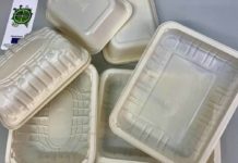 Implementazione delle bioplastiche nel Regolamento imballaggi Ue, nuovo studio Implementazione delle bioplastiche nel Regolamento imballaggi Ue, nuovo studio