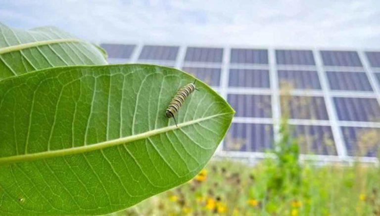 Legambiente Regione Toscana accelerare agrivoltaico