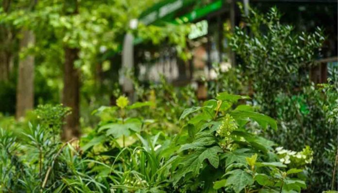 Milano Green Circle 90/91, prosegue la ‘rigenerazione ecologica’ in città