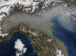 Pianura padana avvelenata dagli allevamenti intensivi, nuovo report di Greenpeace
