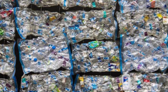 Riciclo plastica, l’industria europea chiede urgenti misure strutturali Riciclo plastica, Assorimap: la crisi continua, la filiera chiede tutela Green&Blue Festival 2026 riciclo plastica Corepla Corepla liste Conai imballaggi plastica Riciclo plastica Assorimap fatturato calo terzo anno consecutivo Riciclo plastica Europa misure strutturali