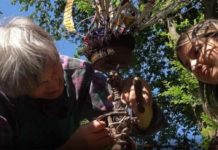 Torino, alla Pellerina un progetto di arte ambientale tra natura e spazio pubblico Torino Pellerina progetto arte ambientale