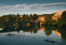 Torino accelera sul verde urbano: oltre 2mila nuovi alberi entro il 2026 Torino verde urbano oltre 2mila alberi 2026
