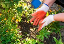 Crisi fertilizzanti, nuovo piano d’azione Ue “inadatto” fertilizzanti